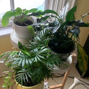 Please send me offers! Love to receive offers!